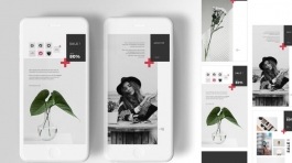 84316050-0af0-49db-a53a-241d47ddad0e-1